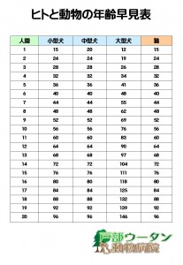 年齢早見表1