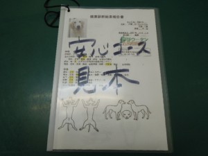 冊子見本写真